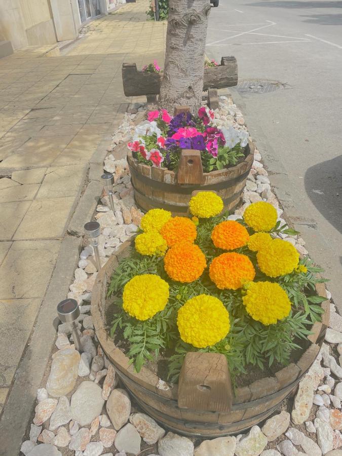 בלצ'יק Family Hotel Morska Zvezda מראה חיצוני תמונה