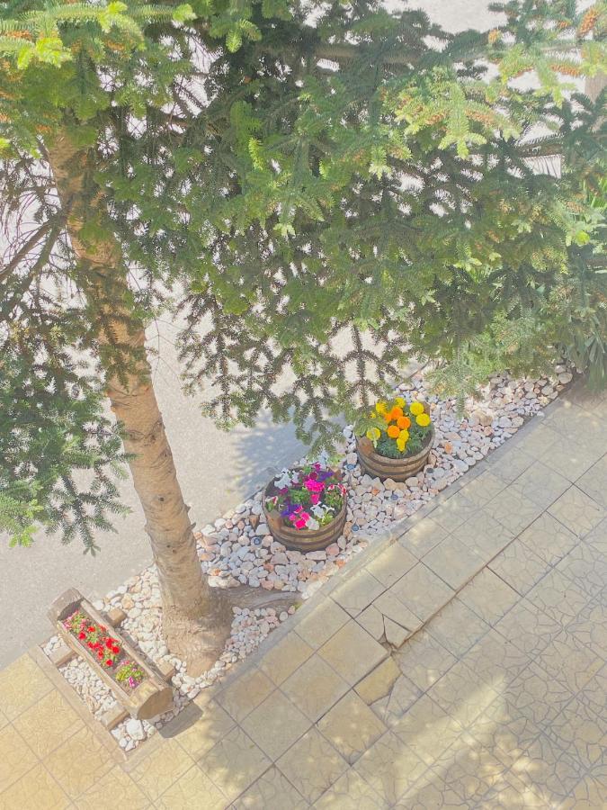 בלצ'יק Family Hotel Morska Zvezda מראה חיצוני תמונה